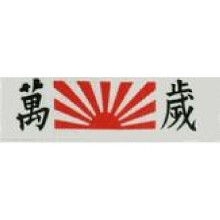 PLAYWELL BONZAI HEADBAND 06