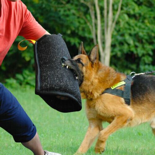 Pet Training Bite Sleeve Arm Protection Intermediate Working