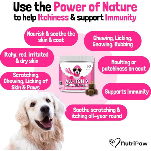 NutriPaw AllItch Immunity Treats For Dogs Itchy Paws, Eyes, Ears Skin on OnBuy