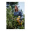DeWalt Dewalt XR 18V Handheld Pruner Bare Unit - Yellow/Black 8
