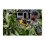 DeWalt Dewalt XR 18V Handheld Pruner Bare Unit - Yellow/Black 5
