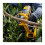 DeWalt Dewalt XR 18V Handheld Pruner Bare Unit - Yellow/Black 6