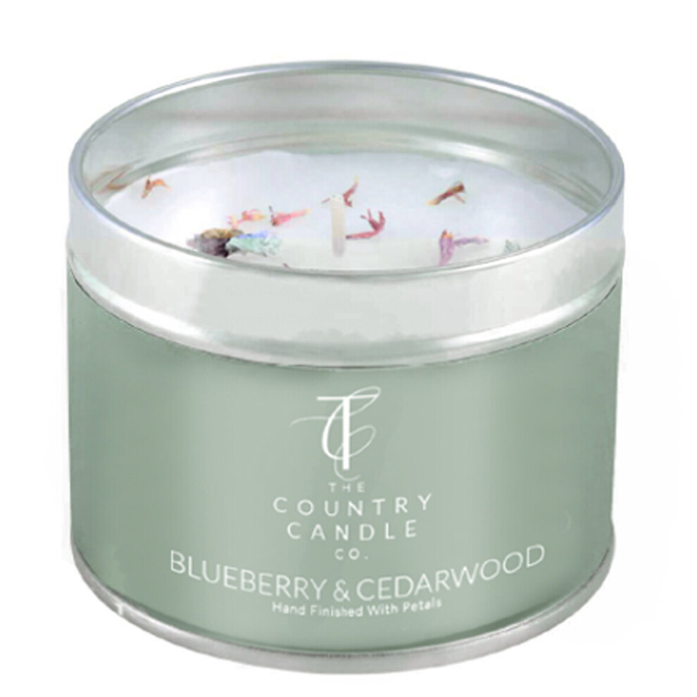 The Country Candle Company Pastels Candle in a Tin - Blueberry & Cedarwood-image-OPC-PBDWQHJ-NEW
