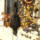 Realistic Hanging Dead Crow Decoy Lifesize Extra Large Black Pan 2
