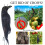 Realistic Hanging Dead Crow Decoy Lifesize Extra Large Black Pan 6