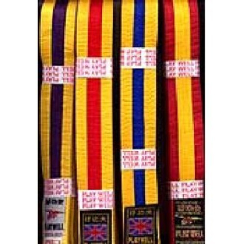 (  Yellow Belt - Brown Stripes) PLAYWELL CHILDRENS 220CM STRIPED BELTS