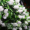 (White, 28cm) Best Artificial Tulip Topiary Ball 5