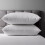 True Face Pillows 2 Pack Egyptian Stripe Luxury Neck Pillow Soft & Comfortable 1