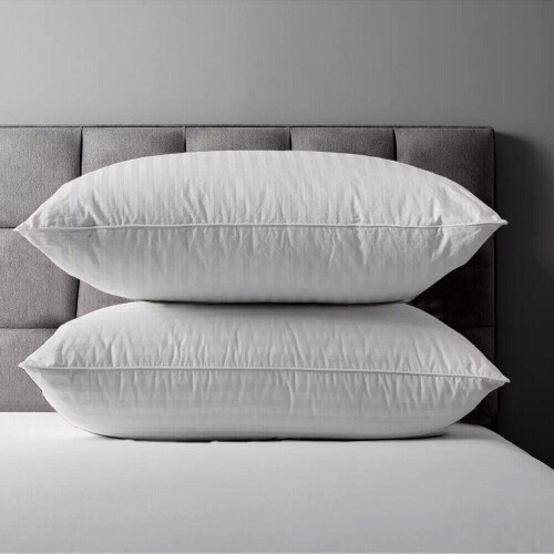 True Face Pillows 2 Pack Egyptian Stripe Luxury Neck Pillow Soft & Comfortable