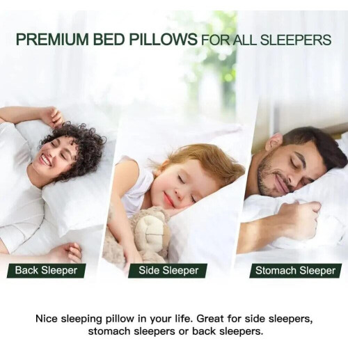 True Face Pillows 2 Pack Egyptian Stripe Luxury Neck Pillow Soft & Comfortable 1