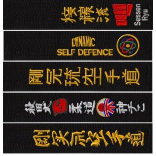 (250) PLAYWELL EMBROIDERED BLACK BELT: HAPKIDO