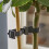 Smart Garden Products 4 Buckle Plant Ties Heavy Duty Rubber Adjustable Garden Support Flexi Strap 2