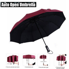 Automatic Open & Close Folding Compact Umbrella Windproof Strong