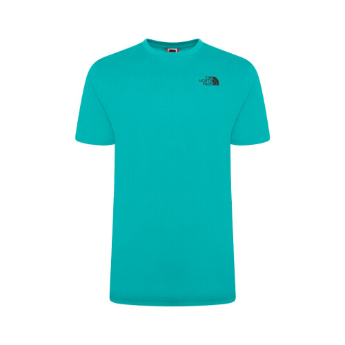 The North Face (TNFPORCELAINGREEN-L) The North Face Simple Dome T-shirt Green/Black
