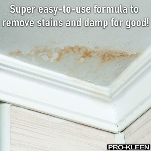 Pro-Kleen Pro-Kleen Damp and Stain Block 2
