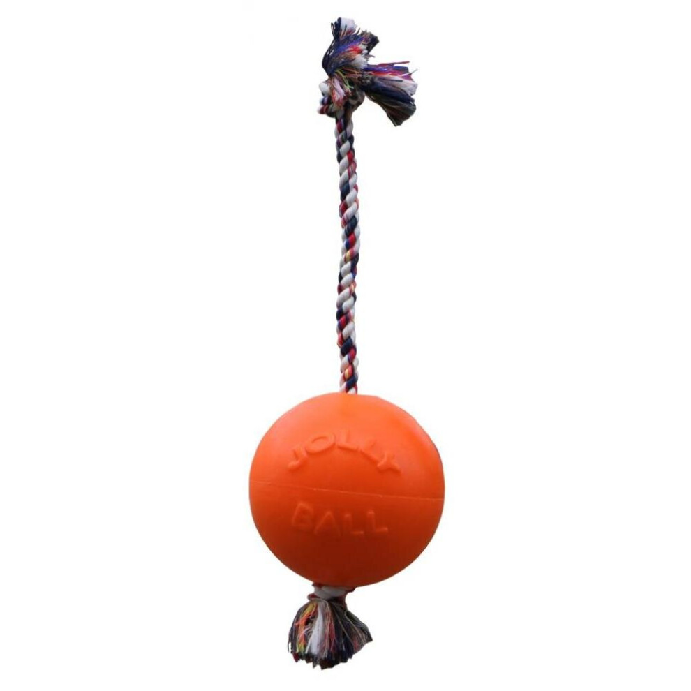 Kong 2 Pieces Squeezz Ball Dog Toy