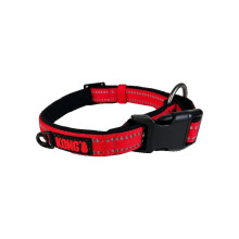 Dog Nylon Basic Collar