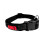 KONG Dog Nylon Basic Collar 1