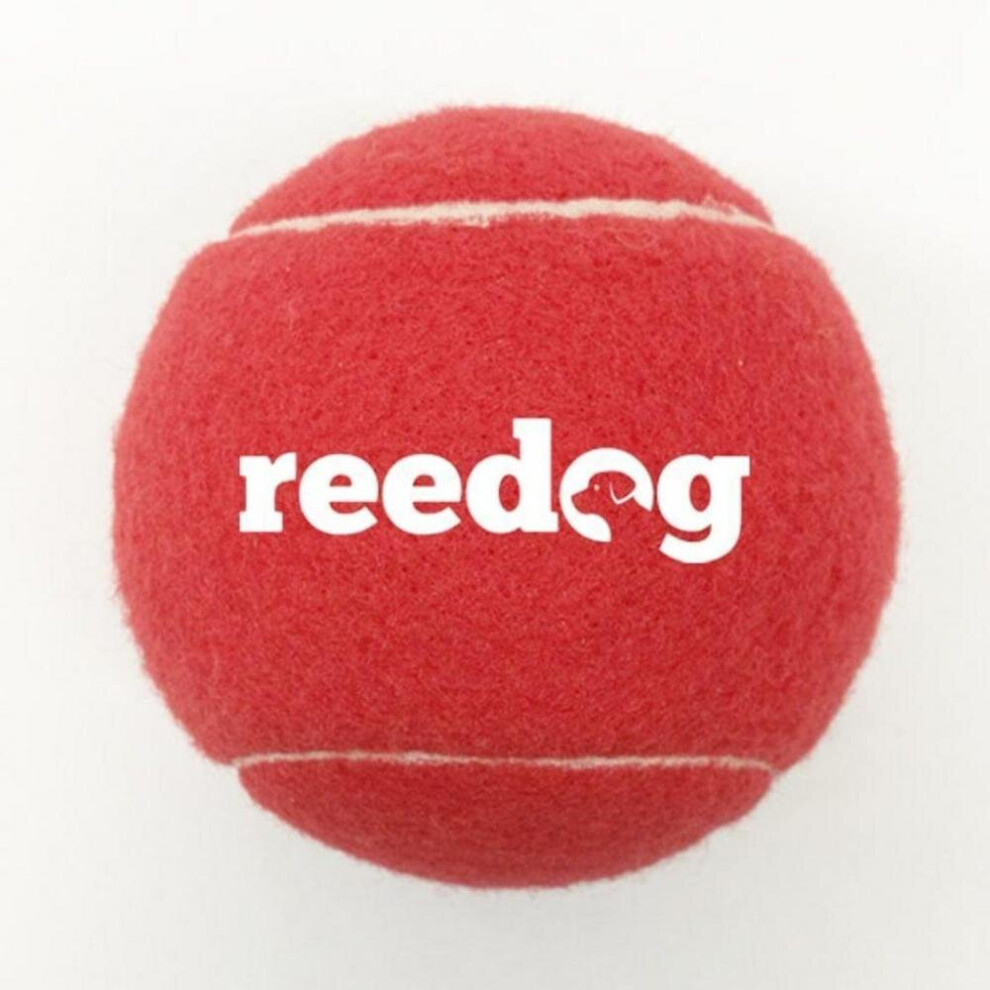 Kong Woozles Eu Plush Toy For Dog