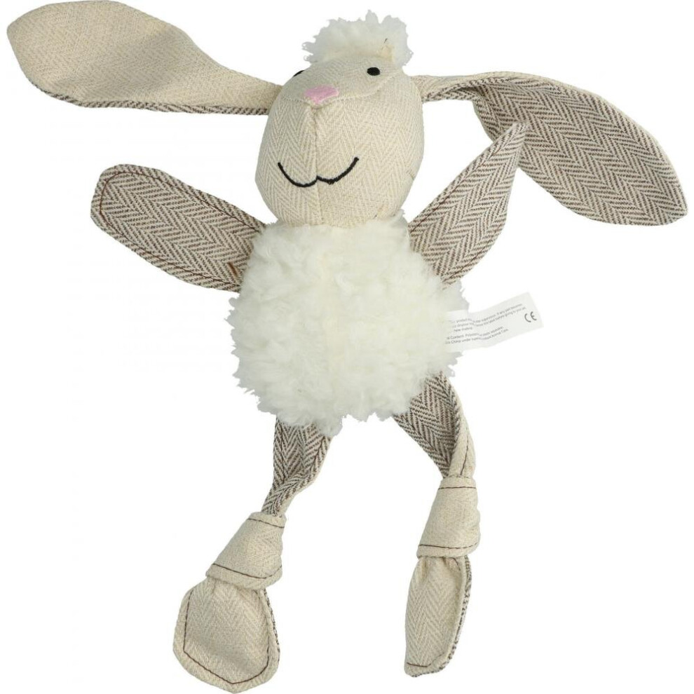 Kong Hopz Ball Eu Dog Toy