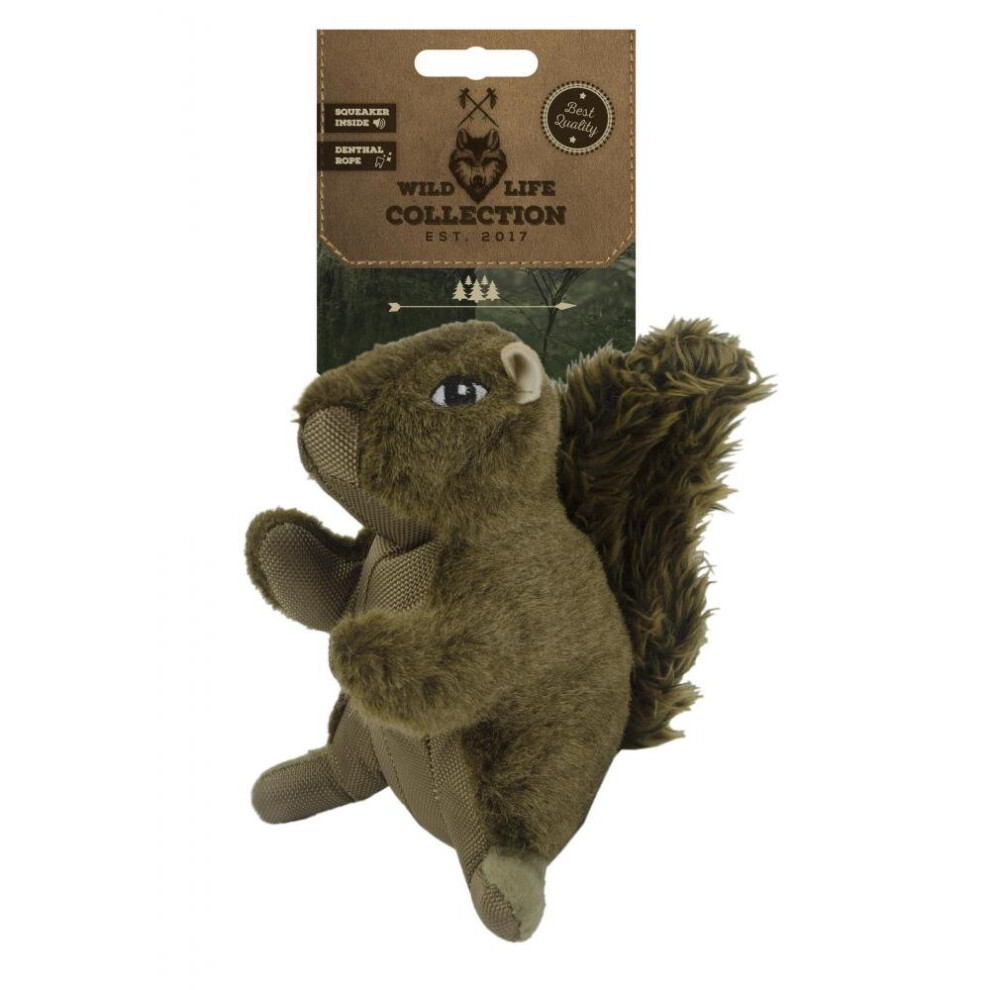 Kong Gyro Spinner With Reward Wall Dog Toy