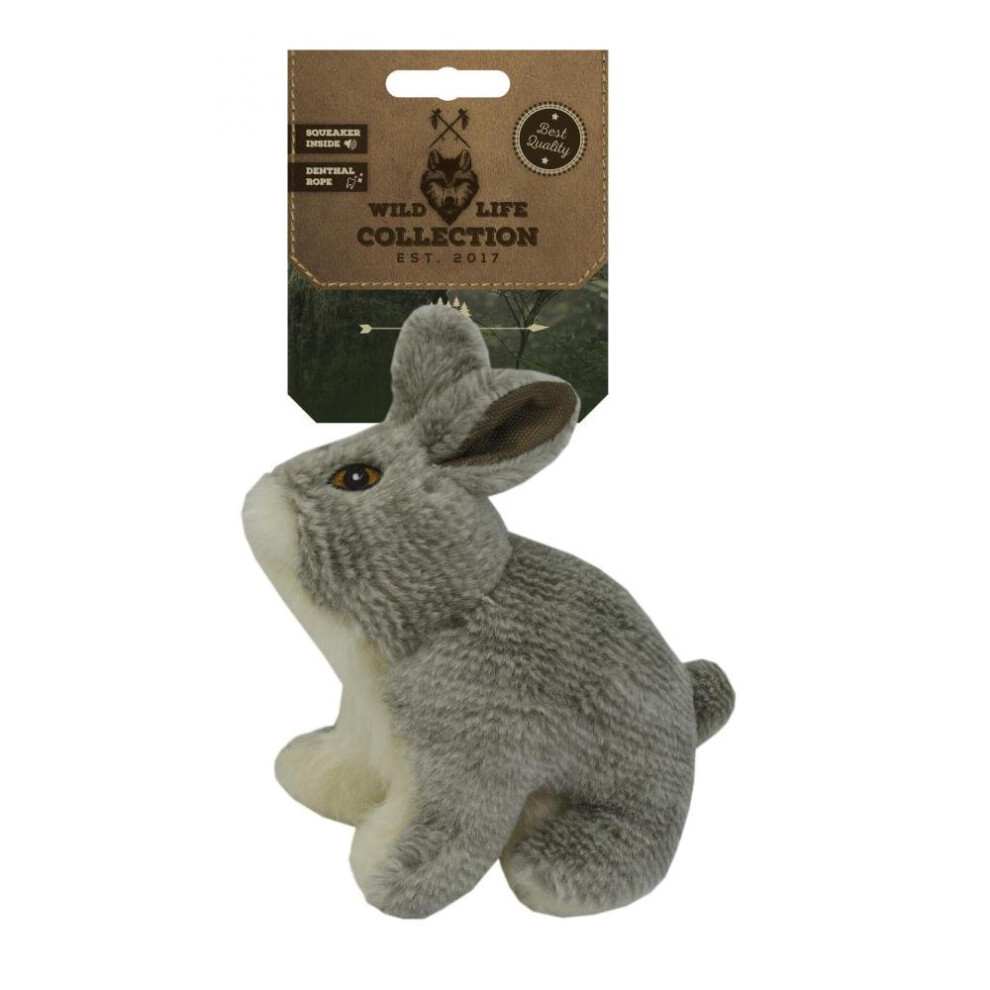 Kong Dog Toy With Goodie Reward Wall