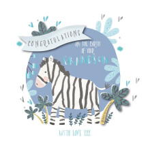 Congratulations New Baby Grandson Greeting Card Talking Pictures Cards