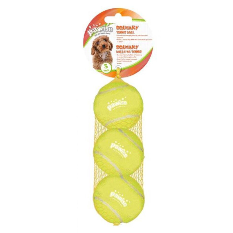 Kong Chewing Toy For Dogs