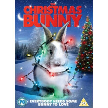The Christmas Bunny DVD (2011) Sophie Bolen Seidman (DIR) cert PG - Region 2