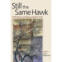 Still the Same Hawk Reflections on Nature and New York Fordham University Press