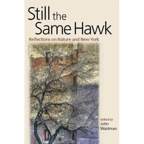 Still the Same Hawk Reflections on Nature and New York Fordham University Press
