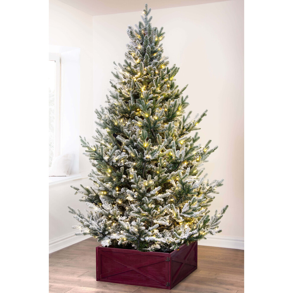 (Pre-lit 8ft - 3354 branches, 700 LEDs) Christmas Tree World | Un-lit/Pre-lit Frosted Ultra Mountain Pine (4ft to 10ft)