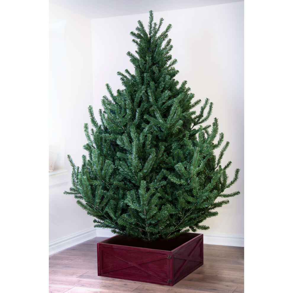 (4ft) Christmas Tree World | Mountain Pine tree (4ft to 8ft)