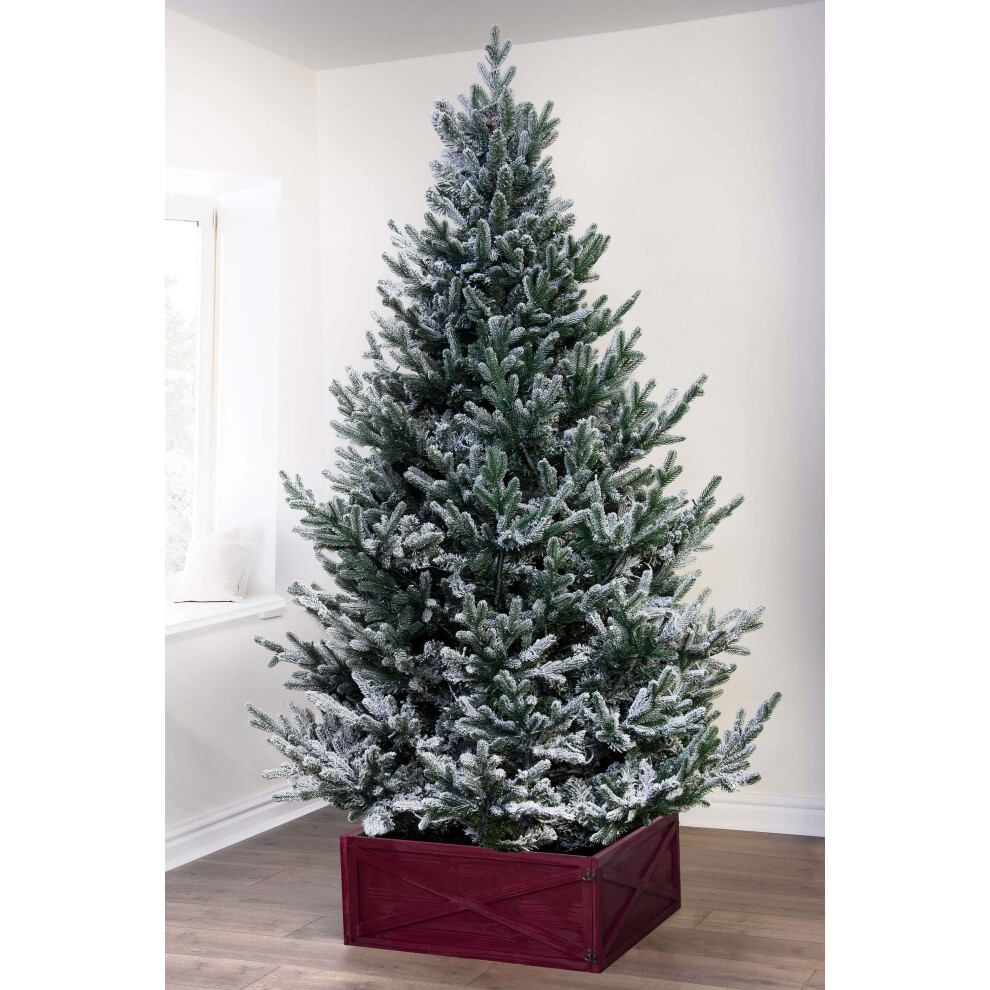 (Un-lit 7ft - 2640 branches) Christmas Tree World | Un-lit/Pre-lit Frosted Ultra Mountain Pine (4ft to 10ft)