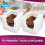 SOL 12 Cupcake Boxes Individual Box with Window Removable Inner Tray 6