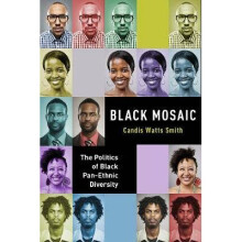 Black Mosaic The Politics of Black PanEthnic Diversity