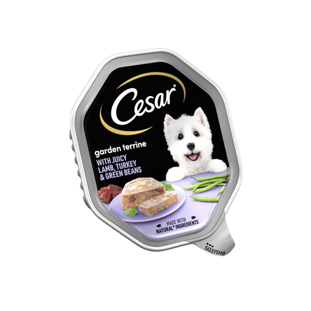 Cesar Garden Terrine Dog Food Tray Lamb, Turkey & Green Beans In Loaf 150G (Pack Of 14)