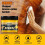 Beewax Polish Honey Wax Maintenance Leather Care Protect Wood Furniture 5