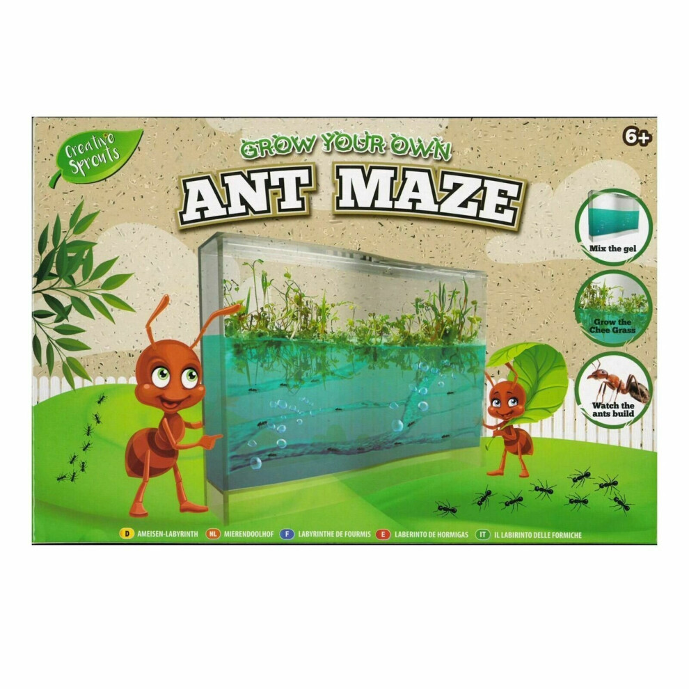 Ant Farm Maze Kids Build Your Own Any Colony