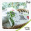 The Cheeky Panda The Cheeky Panda Bamboo Biodegradable Baby Wipes 64 Count 4