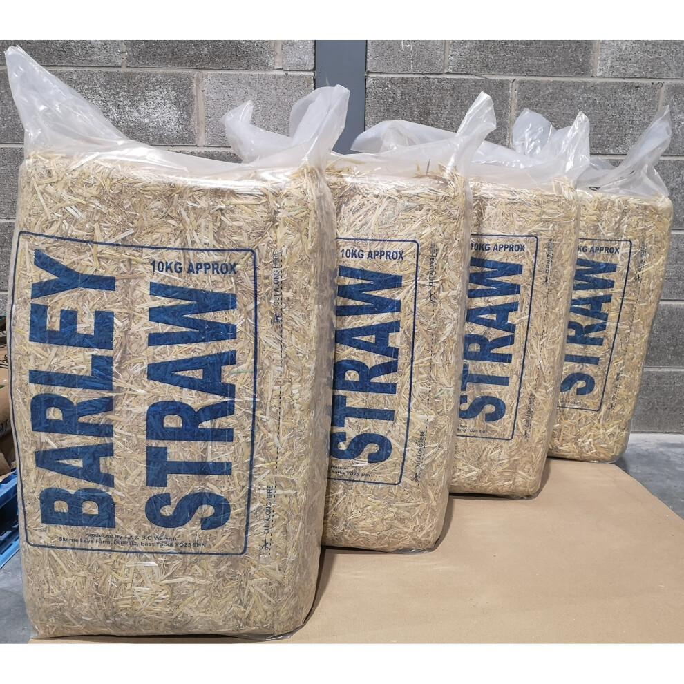 Barley Straw 10Kg - 4 Pack