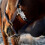 Quick Release Panic Hook Snap 102mm Quick Release Secure Lock Horse Panic 5
