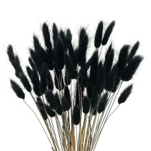 60Pcs Fall Dried Flowers Bunny Dried Flowers Lagurus Ovatus Rabbit Tail Grass for Dried Floral(Black)