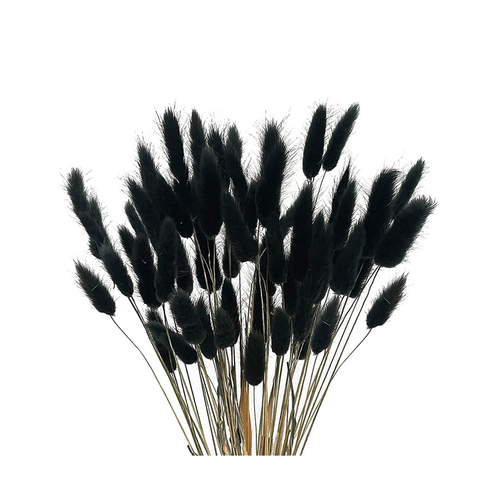 Tlily 60Pcs Fall Dried Flowers Bunny Dried Flowers Lagurus Ovatus Rabbit Tail Grass For Dried Floral(Black)