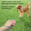 3Pcs Set Pet Dog Loudness Three Volume Adjustable Trainer Whistle Clicker Ma Nde 3