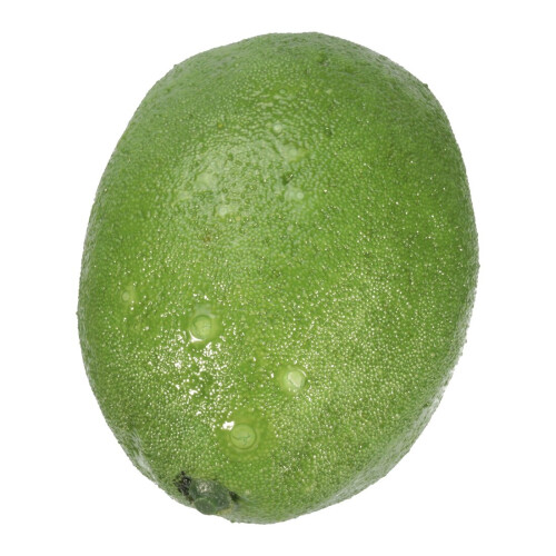 6 x Realistic Lifelike Artificial Plastic Lemon Fruit Food Home Decor 2