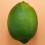 6 x Realistic Lifelike Artificial Plastic Lemon Fruit Food Home Decor 8