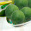 6 x Realistic Lifelike Artificial Plastic Lemon Fruit Food Home Decor 5
