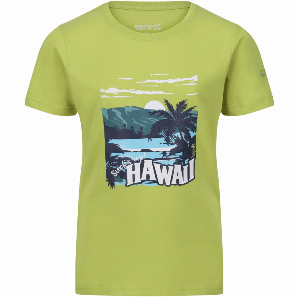 (3-4 Yrs, Green Algae) Regatta Kids Boys Bosley VI Graphic Print Short Sleeve Crew Neck T-Shirt Top Tee