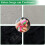 12PCS boules de lavage pour animaux de compagnie 9